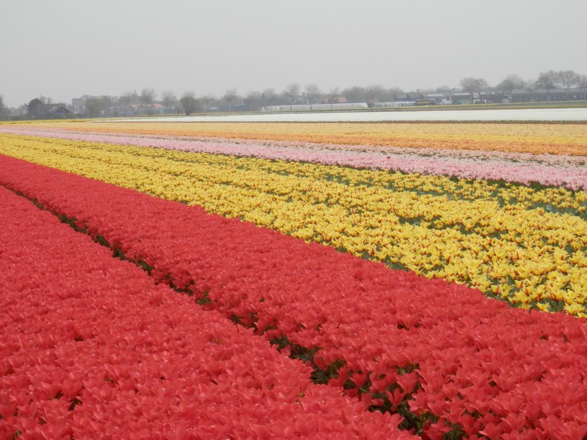 Home For 2 Zuidoostbeemster Bagian luar foto